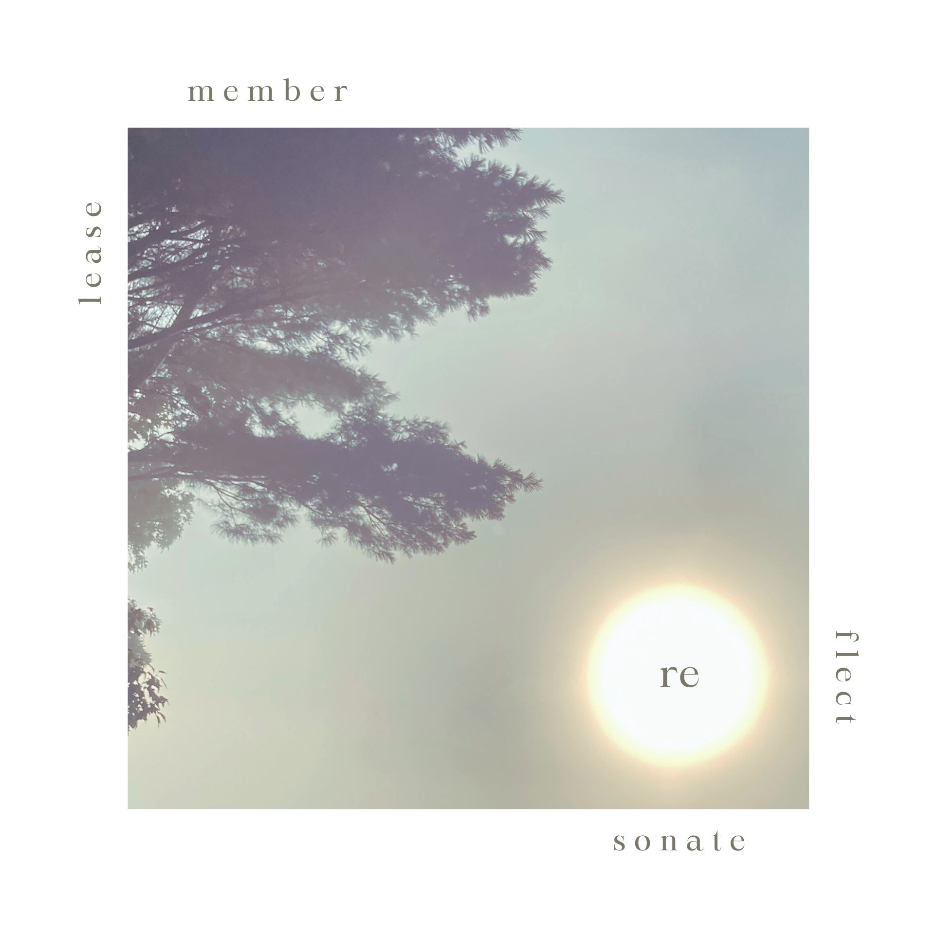 reSonate reFlect reLease reRemember : the album (2025)
