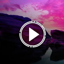 Linktree bio link example — Spotify playlist link